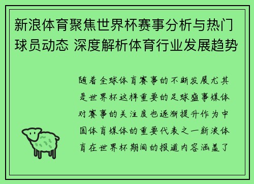 新浪体育聚焦世界杯赛事分析与热门球员动态 深度解析体育行业发展趋势